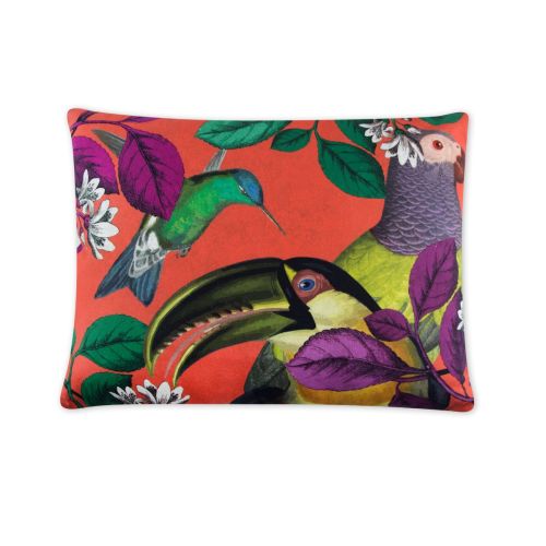 Cuscino decorativo, multicolore, pappagalli, 50x40 cm