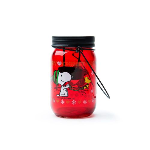 Lanterna con coperchio, 1 pezzo, snoopy natale