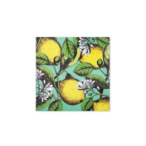 Quadro decorativo, multicolore, limoni, 38x38 cm