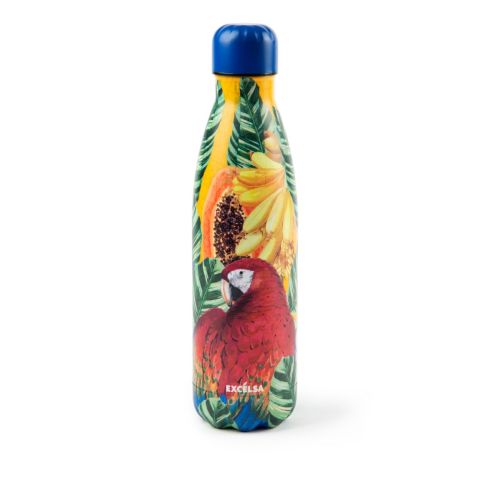 Bottiglia termica, multicolore pappagallo, 500 ml