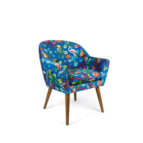 Poltrona, animali e fauna, multicolore